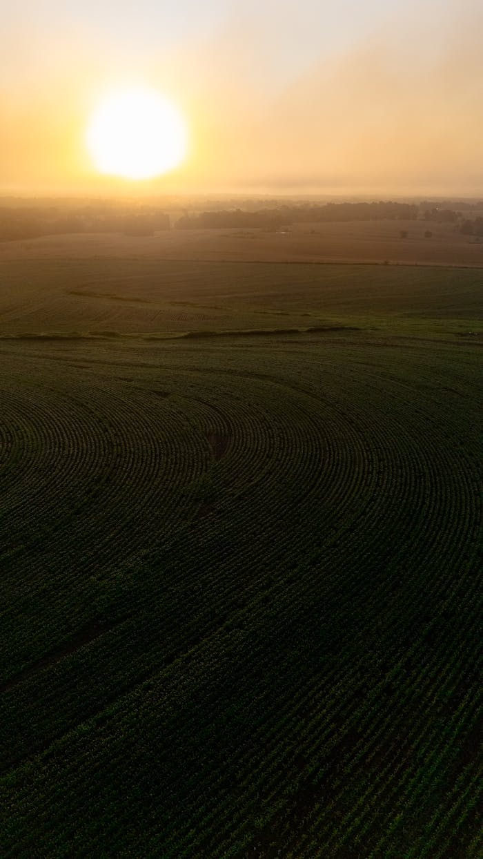 pexels photo 33786776.jpeg